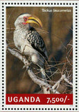 Hornbills Stamp Bird Tockus Leucomelas Souvenir Sheet MNH #3234 / Bl.453