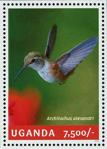 Hummingbirds Stamp Birds Archilochus Alexandri Souvenir Sheet MNH #3224 / Bl.451