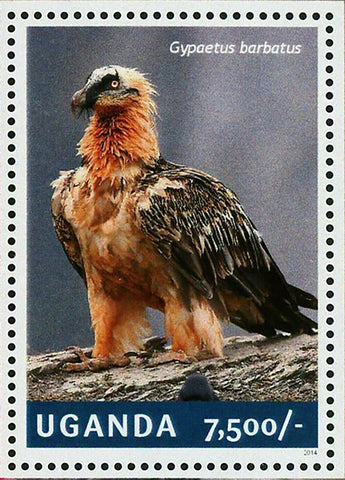 Vultures Stamp Birds Gypaetus Barbatus Souvenir Sheet MNH #3259 / Bl.458