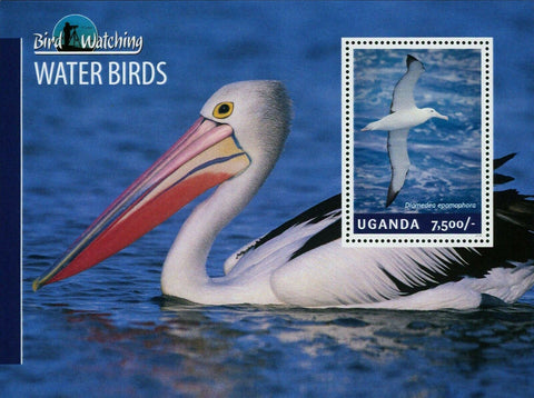 Water Birds Stamp Diomedea Epomophora Souvenir Sheet MNH #3239 / Bl.454