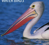 Water Birds Stamp Diomedea Epomophora Souvenir Sheet MNH #3239 / Bl.454