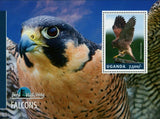 Falcons Stamp Bird Falco Tinnunculus Souvenir Sheet MNH #3254 / Bl.457