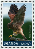 Falcons Stamp Bird Falco Tinnunculus Souvenir Sheet MNH #3254 / Bl.457