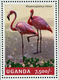 Flamingos Stamp Birds Phoenicopterus Minor Souvenir Sheet MNH #3244 / Bl.455