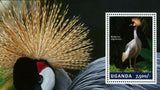 Grey Crowned Cranes Stamp Birds Balearica Regulorum Souvenir Sheet MNH #3249