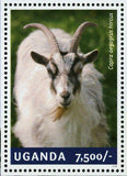 Goat Stamp Capra Aegagrus Hircus Lunar Year Souvenir Sheet MNH #3299 / Bl.466