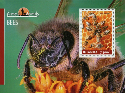 Bees Stamp Insects Apis Mellifera Souvenir Sheet MNH #3274 / Bl.461