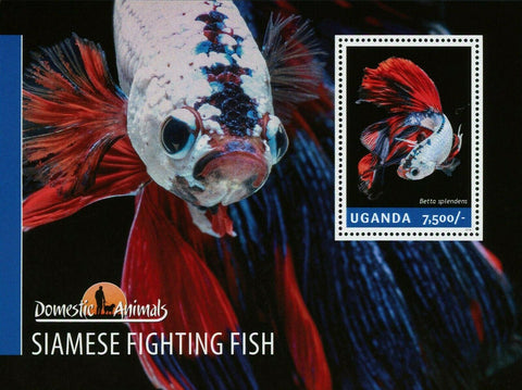 Siamese Fighting Fish Stamp Betta Splendens Souvenir Sheet MNH #3279 / Bl.462