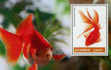 Goldfish Stamp Fish Carassius Auratus Auratus Souvenir Sheet MNH #3284 / Bl.463