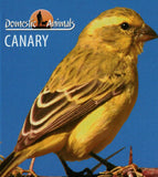 Canary Stamp Birds Serius Canaria Souvenir Sheet MNH #3289 / Bl.464