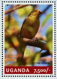 Canary Stamp Birds Serius Canaria Souvenir Sheet MNH #3289 / Bl.464