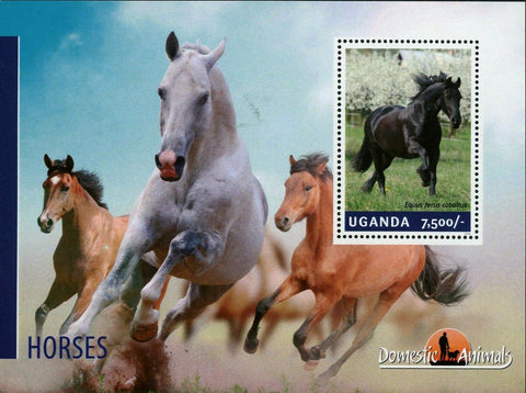 Horse Stamp Domestic Animals Equus Ferus Caballus Souvenir Sheet MNH #3304/Bl467