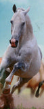Horse Stamp Domestic Animals Equus Ferus Caballus Souvenir Sheet MNH #3304/Bl467