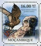 Hawks & Eagles Stamp Haliaeetus Vocifer Polyboroides Typus S/S MNH #4924-4929