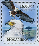 Hawks & Eagles Stamp Haliaeetus Vocifer Polyboroides Typus S/S MNH #4924-4929