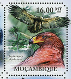 Hawks & Eagles Stamp Haliaeetus Vocifer Polyboroides Typus S/S MNH #4924-4929