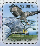 Hawks & Eagles Stamp Haliaeetus Vocifer Polyboroides Typus S/S MNH #4924-4929