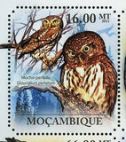 Owls Stamp Tyto Capensis Bubo Africanus Ptilopsis Granti S/S MNH #4910-4915