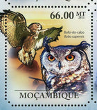 Owls Stamp Tyto Capensis Bubo Africanus Ptilopsis Granti S/S MNH #4910-4915