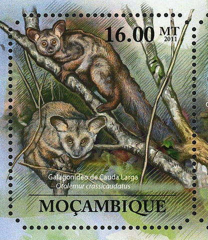 Primates Stamp Otolemur Crassicaudatus Papio Cynocephalus S/S MNH #5036-5041