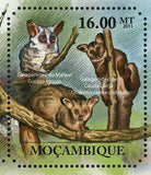 Primates Stamp Otolemur Crassicaudatus Papio Cynocephalus S/S MNH #5036-5041