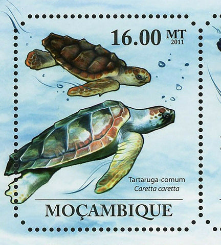 Turtles Stamp Caretta Caretta Lepidochelys Olivacea Chelonia Mydas S/S MNH #4847