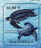 Turtles Stamp Caretta Caretta Lepidochelys Olivacea Chelonia Mydas S/S MNH #4847