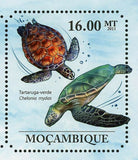 Turtles Stamp Caretta Caretta Lepidochelys Olivacea Chelonia Mydas S/S MNH #4847
