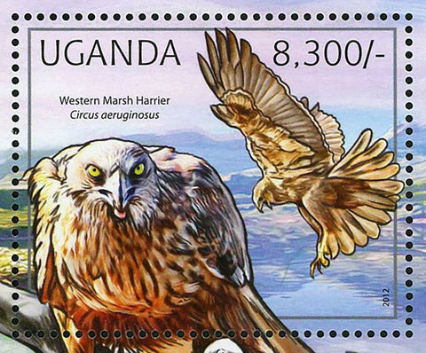 Birds of Prey Stamp Western Marsh Harrier Circus Aeruginosus Hawk S/S MNH #2794