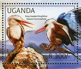 Kingfisher Stamp Grey-headed Kingfisher Halcyon Leucocephala S/S MNH #2789/Bl374