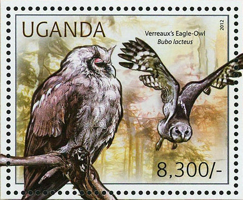 Owls Stamp Verreaux's Eagle-Owl Barn Owl Tyto Alba Short-eared S/S MNH #2799