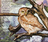 Owls Stamp Verreaux's Eagle-Owl Barn Owl Tyto Alba Short-eared S/S MNH #2799