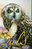 Owls Stamp Verreaux's Eagle-Owl Barn Owl Tyto Alba Short-eared S/S MNH #2799
