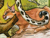 Wild Cats Stamp Leopard Panthera Pardus Lion Panthera Leo S/S MNH #2809 / Bl.378