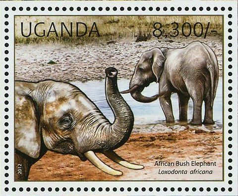 African Elephants Stamp African Bush Elephant Loxodonta Africana S/S MNH #2814