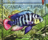 Fishes Stamp Cichlid Nile Perc Haplochromis Katonga S/S MNH #2779 / Bl.372