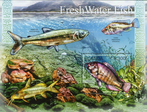 Fresh Water Fishes Stamp Cichlid Mormyrus Haplochromis Petronius MNH #2775-2778