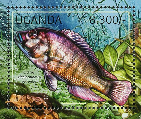 Fresh Water Fishes Stamp Cichlid Mormyrus Haplochromis Petronius MNH #2775-2778