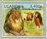 Wild Cats Stamp Leopard Panthera Pardus Acinonyx Jubatus Cheetah S/S MNH #2805