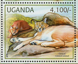 Wild Cats Stamp Leopard Panthera Pardus Acinonyx Jubatus Cheetah S/S MNH #2805
