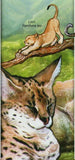 Wild Cats Stamp Leopard Panthera Pardus Acinonyx Jubatus Cheetah S/S MNH #2805