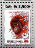 World Wildlife Stamp WWF Owl Monkey Wild Animals Aruba S/S MNH #3143-3146