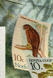 Owls Stamp Postage Stamp Peru Buho Americano Bird S/S MNH #3156 / Bl.441