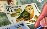 Owls Stamp Postage Stamp Peru Buho Americano Bird S/S MNH #3156 / Bl.441