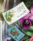 Orchids Stamp Flowers Postage Stamp Laelia Dayana S/S MNH #3152 / Bl.437