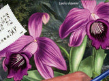 Orchids Stamp Flowers Postage Stamp Laelia Dayana S/S MNH #3152 / Bl.437