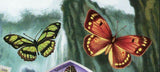 Butterflies Stamp Postage Stamp Danau Sita Papilio Ulysses S/S MNH #3153/Bl.438