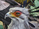 Secretary Bird Stamp Sagittarius Serpentarius Souvenir Sheet MNH