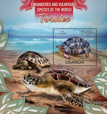 Turtles Stamp Pyxis Arachnoides Caretta Testudo Kleinmann S/S MNH #3009 / Bl.414