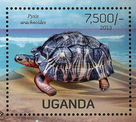 Turtles Stamp Pyxis Arachnoides Caretta Testudo Kleinmann S/S MNH #3009 / Bl.414